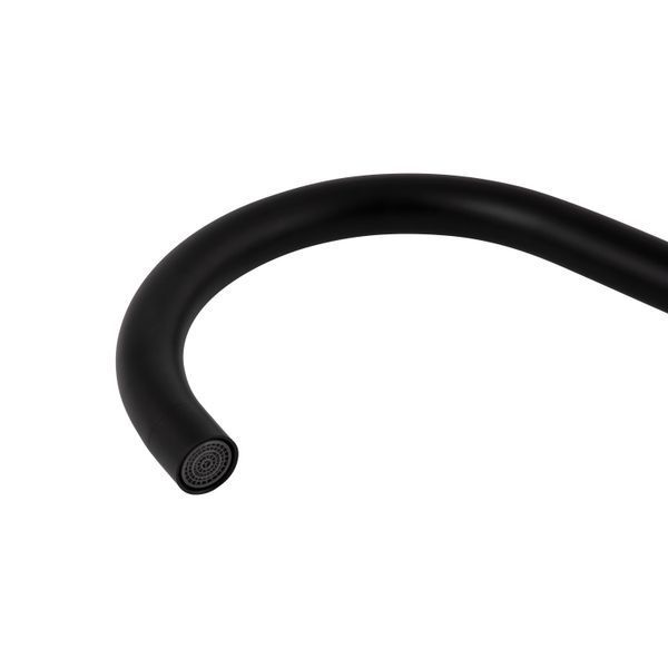 Змішувач для кухні Brinex Pure 015F U-образний Black Matt BRIPUR015FBLM BRIPUR015FBLM фото